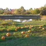 Cider Hill Family Orchard photo