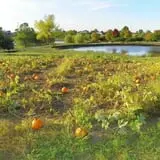 Cider Hill Family Orchard photo