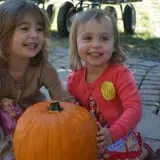 Cider Hill Family Orchard photo