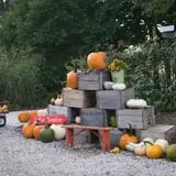 Cider Hill Family Orchard photo