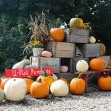 Cider Hill Family Orchard photo