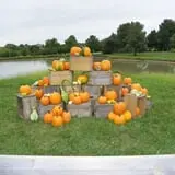 Cider Hill Family Orchard photo