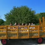 Cider Hill Family Orchard photo