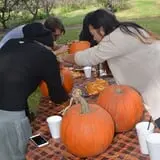 Cider Hill Family Orchard photo