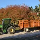 Cider Hill Family Orchard photo