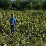 Cider Hill Family Orchard photo