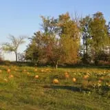 Cider Hill Family Orchard photo