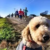 Haunted Hustle Marathon photo