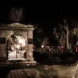 Savannah Terrors