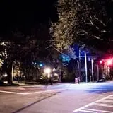 Savannah Terrors