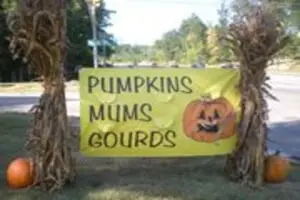 Phillips Farms of Chatham
