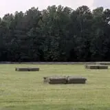Phillips Farms of Chatham photo