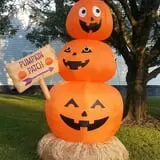 Phillips Farms of Chatham photo