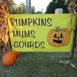 Phillips Farms of Chatham photo