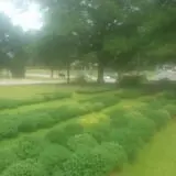 Phillips Farms of Chatham photo