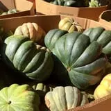 Assiter Punkin Ranch photo