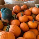 Assiter Punkin Ranch photo