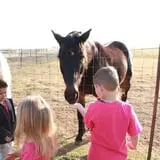 Assiter Punkin Ranch photo