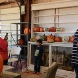 Assiter Punkin Ranch photo