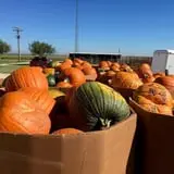 Assiter Punkin Ranch photo