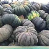 Assiter Punkin Ranch photo