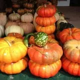Assiter Punkin Ranch photo