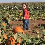 Assiter Punkin Ranch photo