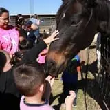 Assiter Punkin Ranch photo