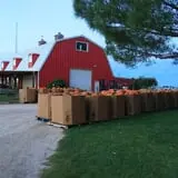 Assiter Punkin Ranch photo