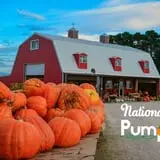 Assiter Punkin Ranch photo