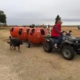 Assiter Punkin Ranch photo