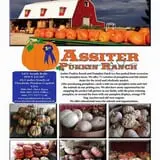Assiter Punkin Ranch photo