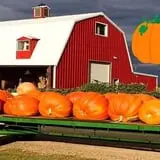 Assiter Punkin Ranch photo