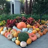 Assiter Punkin Ranch photo