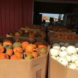 Assiter Punkin Ranch photo