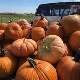 Assiter Punkin Ranch photo