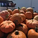 Assiter Punkin Ranch photo