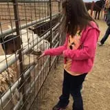 Assiter Punkin Ranch photo