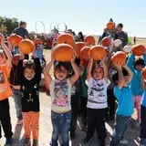 Assiter Punkin Ranch photo