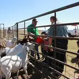 Assiter Punkin Ranch photo