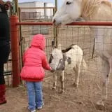 Assiter Punkin Ranch photo