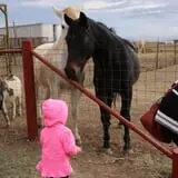 Assiter Punkin Ranch photo
