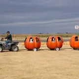 Assiter Punkin Ranch photo