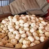 Assiter Punkin Ranch photo
