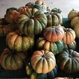 Assiter Punkin Ranch photo