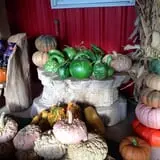 Assiter Punkin Ranch photo