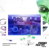 PanIQ Room Phoenix photo