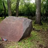 Robinson Woods photo