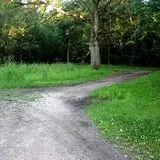 Robinson Woods photo