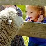 Island Farm photo